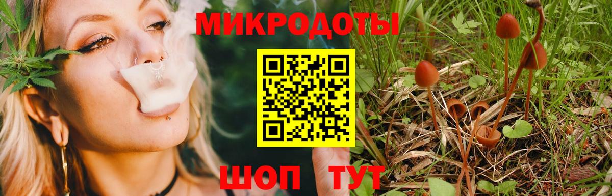 Галлюциногенные грибы Psilocybine cubensis  Псилоцибиновые грибы GOLDEN TEACHER  Канск  Вход с VPN 