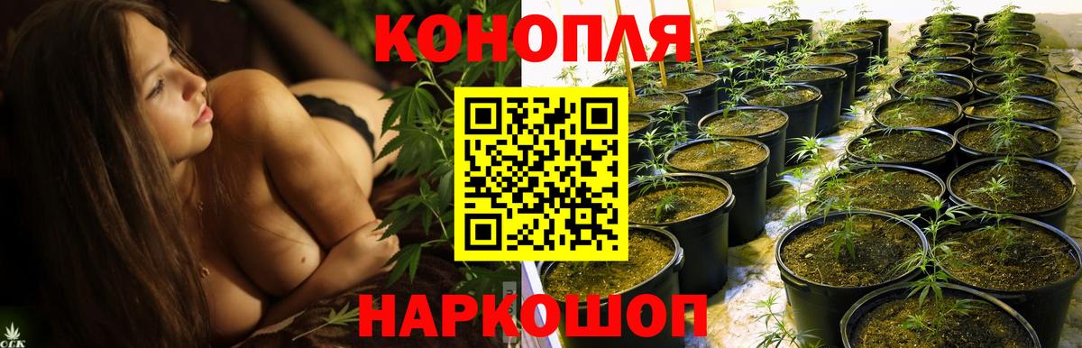 МАРИХУАНА SATIVA & INDICA  Вход с VPN  Бошки Шишки SATIVA & INDICA  Канск  Каннабис конопля 